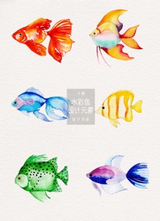 手绘的鱼图片免费下载,手绘的鱼设计素材大全,手绘的