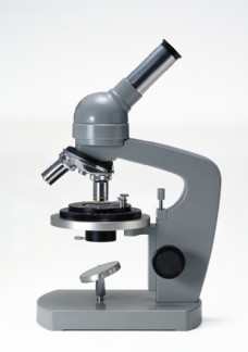 实验研究 显微镜