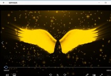 视频模板金色天使翅膀