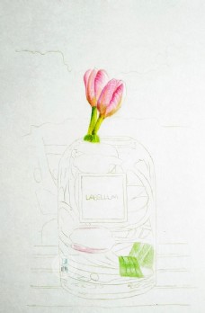彩铅写实绘画-郁金香花瓶