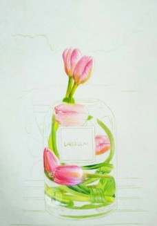 彩铅写实绘画-郁金香玻璃瓶