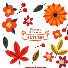 16款彩色秋季花卉和叶子