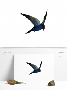 手绘一只小鸟设计可商用元素