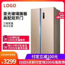 冰箱预售付定立减100元PSD