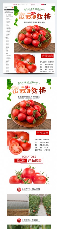 电商淘宝西红柿番茄蔬菜生鲜详情页