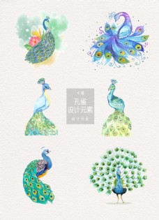 水彩手绘孔雀插画设计元素