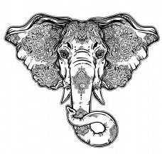 手绘花纹手绘一个大象头矢量素材