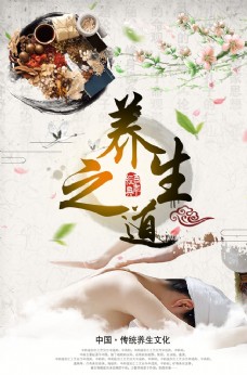 中华文化养生海报