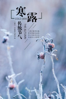 传统节气植物背景简约寒露节日海报
