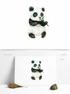 吃竹子的可爱大熊猫卡通背景