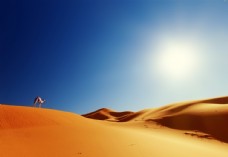 蓝天烈日下的沙漠与骆驼
