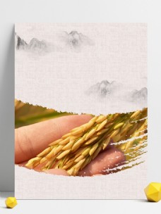 秋季水稻丰收背景素材