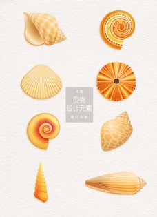 贝壳海洋海洋贝壳设计元素
