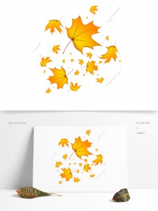 秋天被风吹落的梧桐树金黄叶子