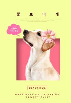 粮食小册宠物简约时尚海报13