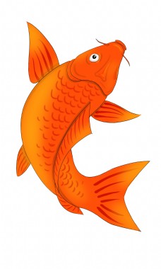 红色鲤鱼海洋动物卡通