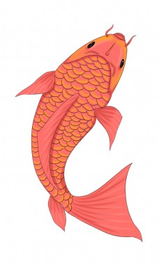 红色鲤鱼卡通矢量