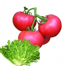 水果海报蔬菜水果水果蔬菜蔬菜海报