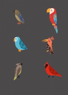 彩色的卡通小鸟插画