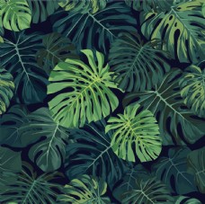 绿色叶子热带植物森系背景