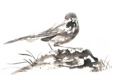 岩石上的小鸟水墨画PNG免抠素材