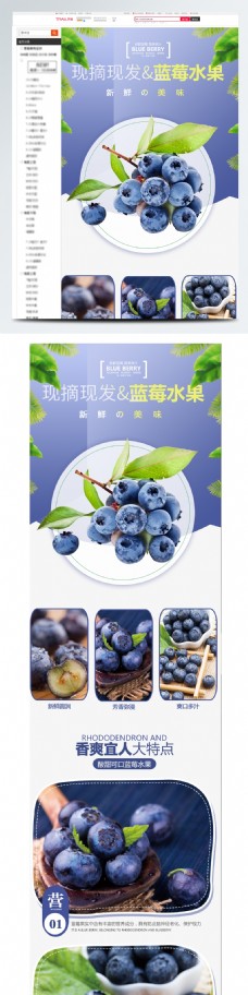 电商淘宝水果生鲜蓝莓详情页