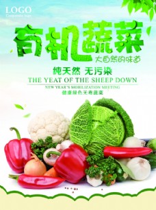 绿色蔬菜蔬菜水果水果蔬菜蔬菜海报