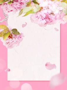 节日贺卡粉色花朵贺卡节日背景素材