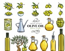 健康饮食橄榄油