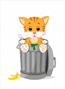 宠物猪垃圾桶里的小猫