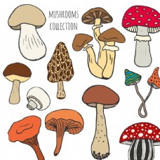 画册设计卡通蘑菇