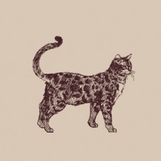 朵拉卡通手绘猫