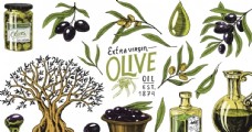 健康饮食橄榄油