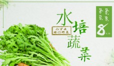 蔬菜蚕豆蔬菜