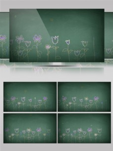 模拟手绘花朵绽放视频素材