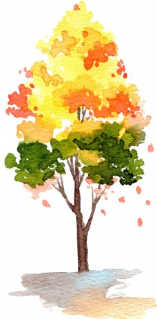 树木树叶卡通手绘水彩树木黄色创意叶子