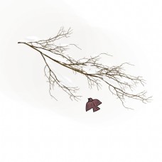 冬季挂雪的树枝和鸟儿插画