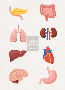 人类内脏器官设计元素