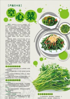 绿色蔬菜空心菜单页