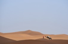 沙漠旅者