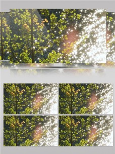 波光粼粼的河面树叶视频素材