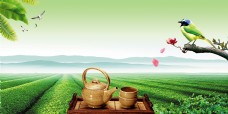 绿色中国风茶叶海报促销背景