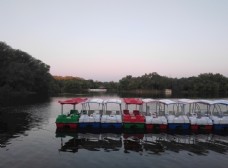 龙沙公园游船