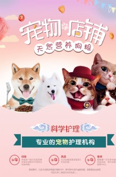 宠物狗宠物店铺猫粮狗粮宠物促销海报