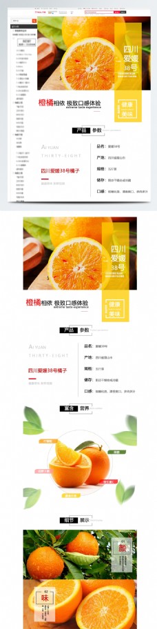 水产品食品水果橘子柑橘橙子农产品详情页