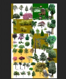 树木绿化景观素材