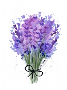 画册设计北欧手绘紫色薰衣草素材
