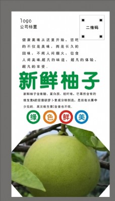 绿色蔬菜柚子海报