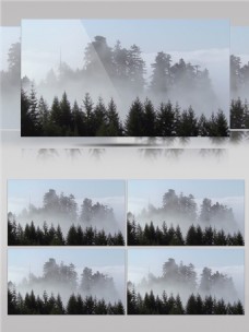 云雾里的丛林景色视频音效