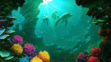 海洋生态海洋海底海豚生态圈